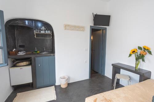 a kitchen with a counter and a table with a vase of flowers at Lotza Studios in Oia