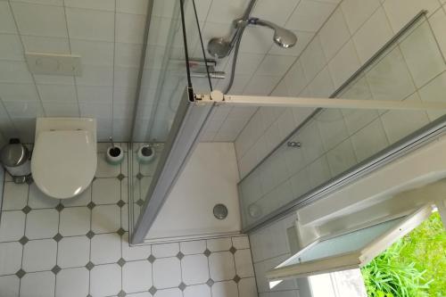 a bathroom with a toilet and a window at Villa Beckmann in Gengenbach