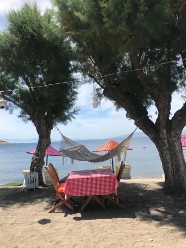 Fotografie z fotogalerie ubytování Yilmaz Hotel v destinaci Ortakent