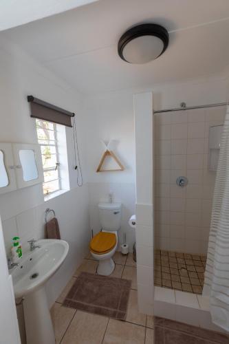 a bathroom with a toilet and a sink and a shower at Kransplaas - Springbok Cottage in Adendorp