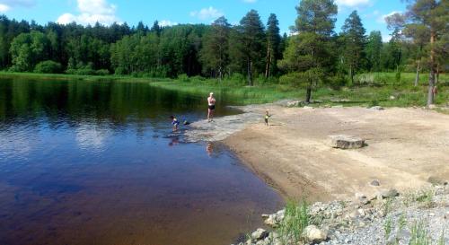 a man and a child standing on the shore of a lake at Fröya Timber Cottage in Arvika