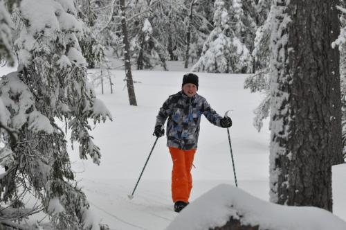 a woman is cross country skiing in the snow at Stuga 5 Varmland in Torsby