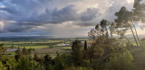 a view of a field with trees and a cloudy sky at Villa Schiatti in Cortona