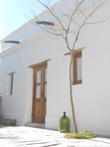 a tree in front of a white building with a vase at Hosteria Villa Cardon in Cachí
