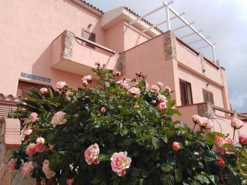 Gallery image of The Roses Garden in La Maddalena