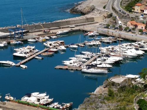 an aerial view of a marina with boats in the water at Bed & Breakfast Laino in Maratea