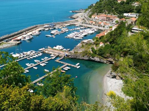 an aerial view of a marina with boats in the water at Bed & Breakfast Laino in Maratea