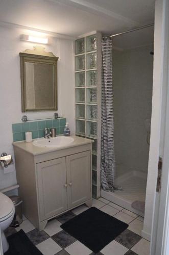 une salle de bain avec un lavabo et une douche dans l'établissement Le Pigeonnier, à Landrais