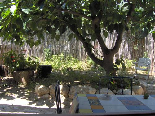 Taman di luar Casa Vacanze Fattoria Pozzitello