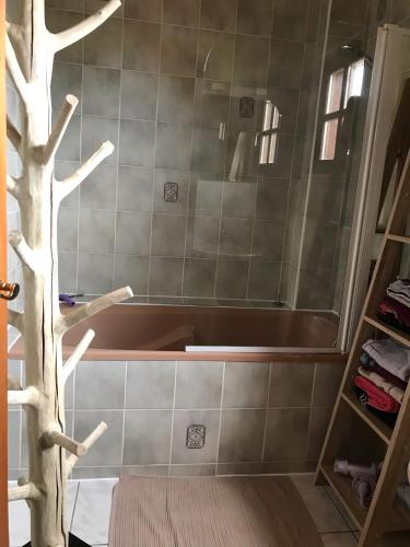 Un baño de Gite Du Rittersberg