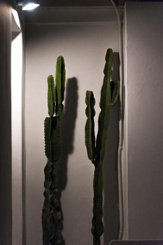 a painting of two cactus on a wall at Greco Mare in Kavos
