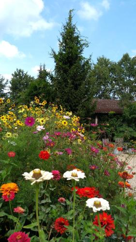 a field of colorful flowers in a garden at B&B Het mooie uitzicht in Reuver