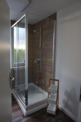 a shower with a glass door with a ladder in a bathroom at Ferienhaus Hundertmorgenfeld 33 in Wernigerode