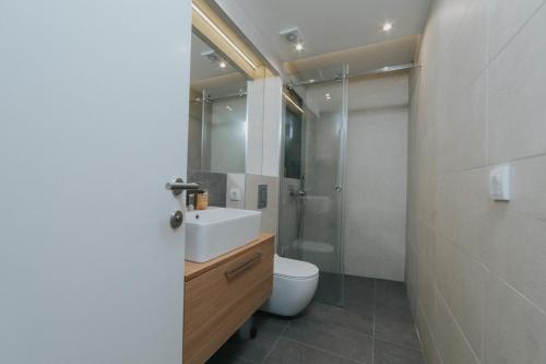 a bathroom with a sink and a toilet and a shower at Apartments Trifunovic Old Town in Budva