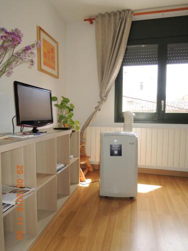 Telewizja i/lub zestaw kina domowego w obiekcie Apartament Besalú