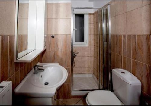a bathroom with a sink and a toilet and a shower at Sophia Central Loft & Apartments in Argostoli