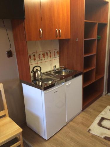 a small kitchen with a stove and a sink at Mączne Skały in Biały Kościół