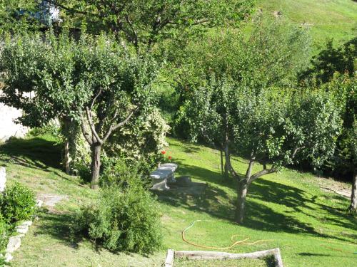 Jardín al aire libre en Le Myosotis