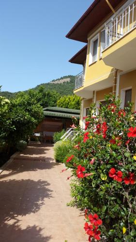 Nespecifikovaný výhled na hory nebo výhled na hory při pohledu z bed and breakfast