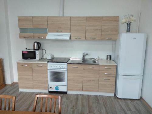 a kitchen with a white refrigerator and a sink at Apartmány U splavu in Veselí nad Moravou