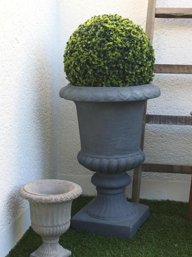 a green bush in a concrete planter on the grass at Ô 36 Rempart Sud B&B in Aigues-Mortes