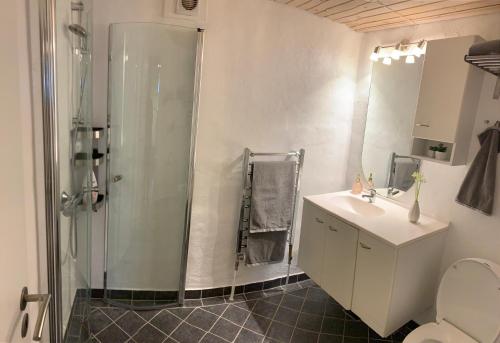 uma casa de banho com um chuveiro, um lavatório e um WC. em Villa Toften em Skanderborg