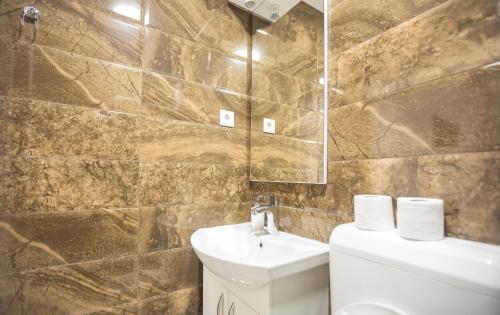 W łazience znajduje się umywalka, toaleta i lustro. w obiekcie Pansion Kipovi w mieście Tuzla