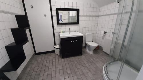 a bathroom with a toilet and a sink and a shower at Geijersholms Herrgård in Hagfors