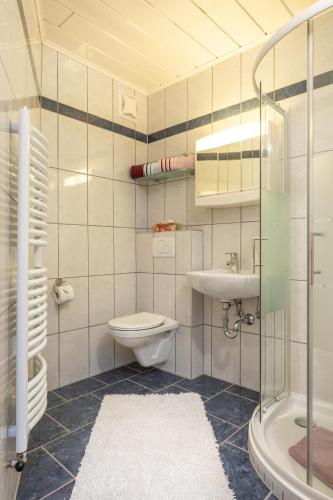 a bathroom with a toilet and a sink at Urlaub am Lacknerhof - Familie Klocker in Liebenfels