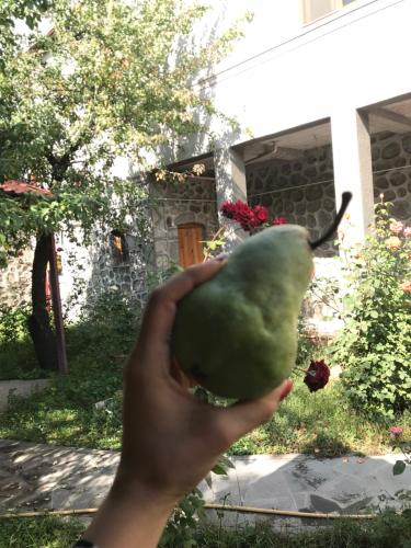 a person holding a green object in their hand at Christy Hotel in Goris