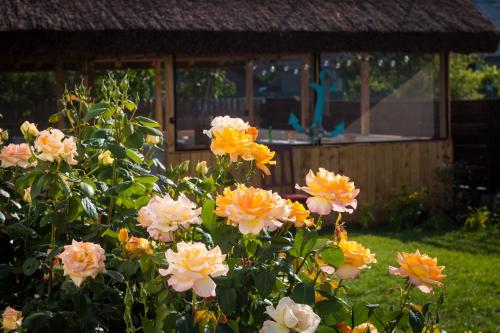 Gallery image of ZEN Eco Villa in Sfântu Gheorghe