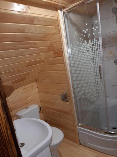a small bathroom with a toilet and a shower at Маєток горгани in Synevyrsʼka Polyana