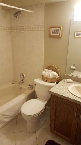 聖亞伯特的住宿－窗戶山脈旅館，浴室配有卫生间、浴缸和水槽。