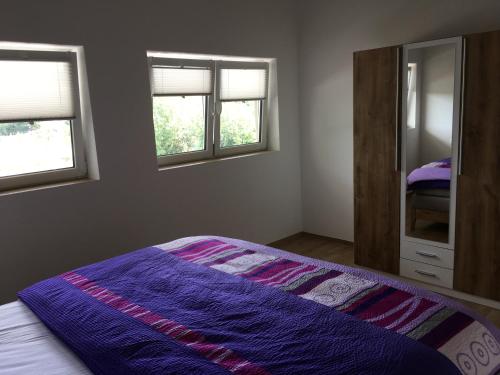 a bedroom with a bed and a mirror and windows at Ferienwohnung Reh in Bad Rappenau