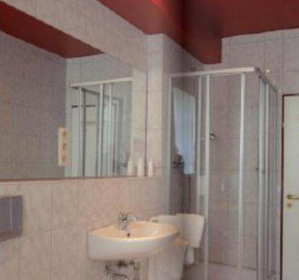 y baño con lavabo, ducha y espejo. en Hotel Zur Linde, en Schermbeck