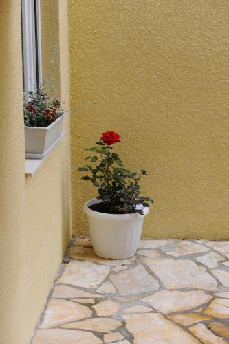 Apartmani Ivišić