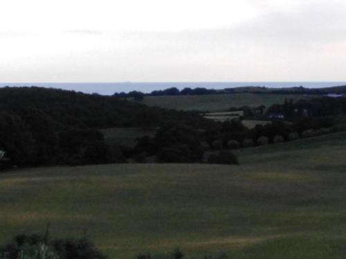 a green field with trees in the distance at Agriturismo le colline di Capalbio in Capalbio