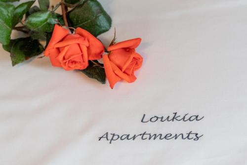 Φωτογραφία από το άλμπουμ του Loukia Apartments στον Αρτεμώνα