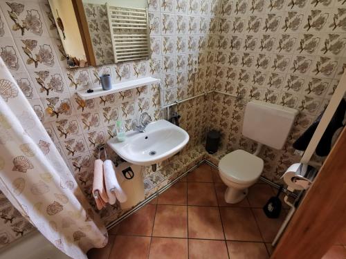 a bathroom with a sink and a toilet at Ferienhof Ehlers in Hülsede