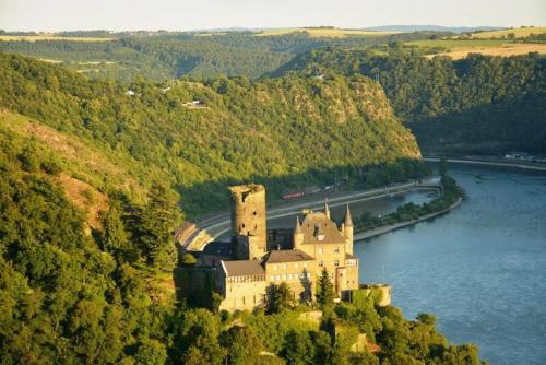 a castle on a hill in the middle of a river at Das Loreley Weinstuebchen in Sankt Goarshausen