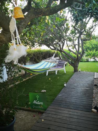a hammock and a bench in a garden at Nature Guesthouse in Lagos