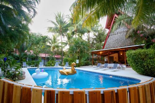 una piscina con cigni e anatre gonfiabili di Living Hotel a Nosara