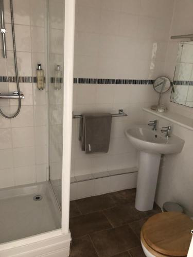 a bathroom with a sink and a shower and a toilet at The George at Nunney in Frome