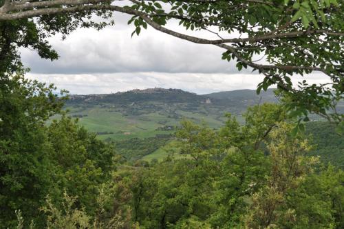 a view of a valley through the trees at La terrazza da Barbara in Torrita di Siena