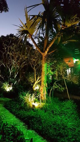 a palm tree with lights in a garden at night at Pousada Alfa e Ômega in Alto Paraíso de Goiás