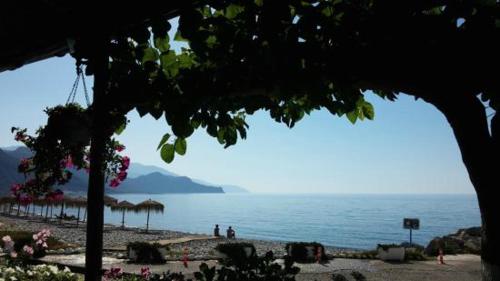 Φυσικό τοπίο κοντά σε αυτός ο ξενώνας