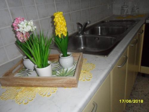 a kitchen counter with a sink and three vases of flowers at Casa Elisa in Ruffano