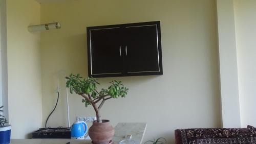 TV at/o entertainment center sa Guest house Ebralidze