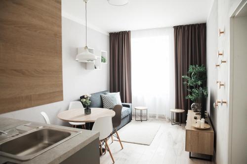 a small apartment with a kitchen and a living room at HONEST Smichov in Prague