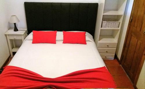 a bed with two red pillows in a bedroom at Casa do Alto in Penacova